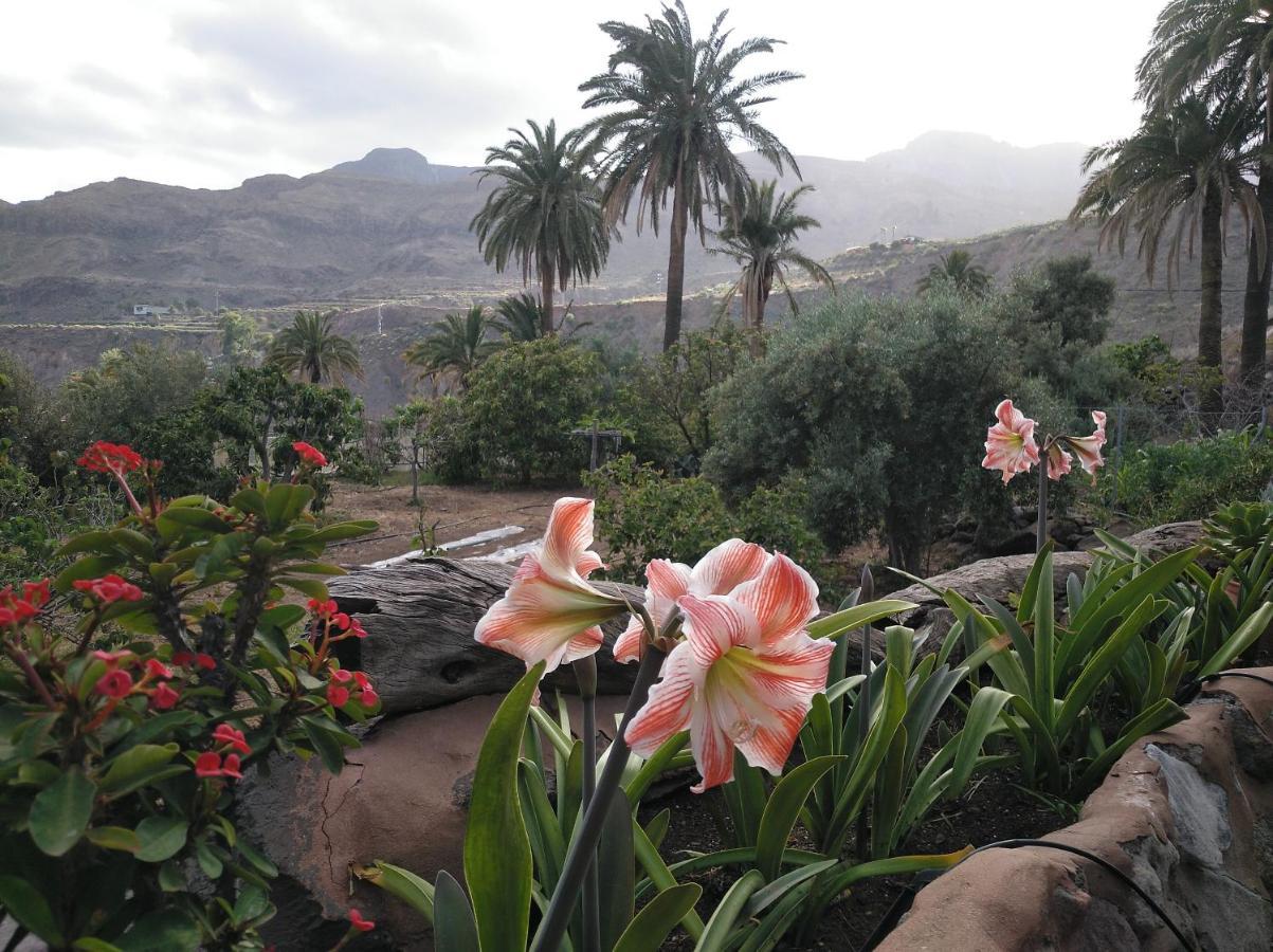 Las Casas De La Rueda - La Casita Santa Lucia De Tirajana Bagian luar foto