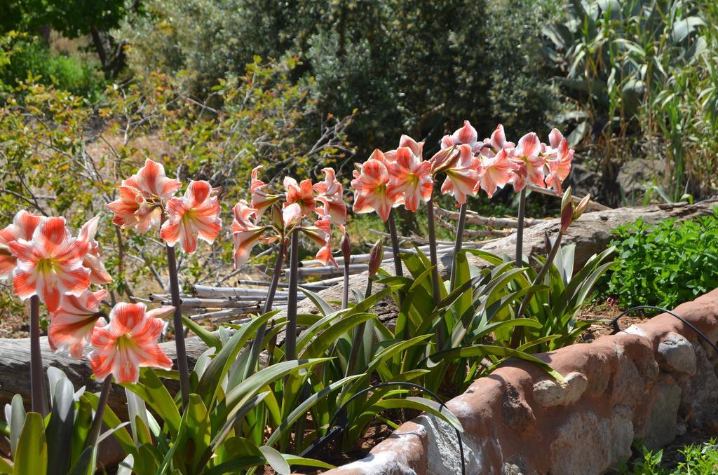 Las Casas De La Rueda - La Casita Santa Lucia De Tirajana Ruang foto
